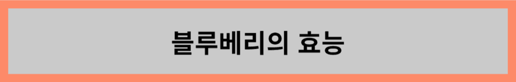 블루베리의 효능