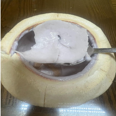 코코넛 과육