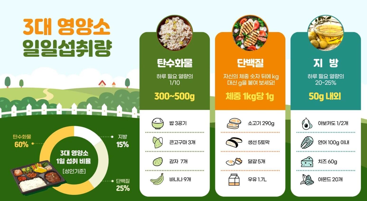 탄수화물-지방-단백질-적정-섭취-비율